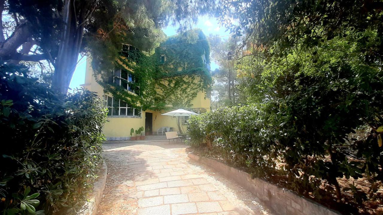 Old Captain'S Apartments - In A Pine Wood By The Sea And Tennis Courts Split Eksteriør bilde