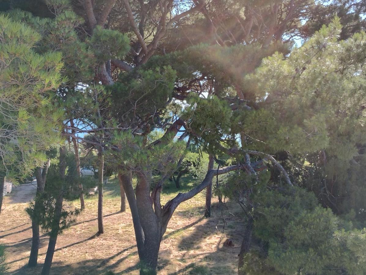 Old Captain'S Apartments - In A Pine Wood By The Sea And Tennis Courts Split Eksteriør bilde